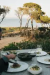 Le Domaine de la Mer - Appartements de Plage Dans un Cadre Enchanteur - bar
