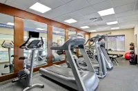 Hampton Inn by Hilton Sudbury, Ontario - palestra