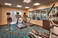 Fairfield Inn & Suites Boise Nampa - Gym