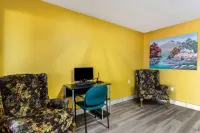 에코노 로지 갤럽 웨스트