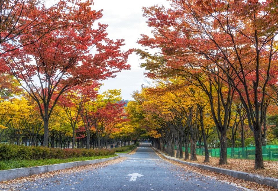 4. 뉴 캐슬..