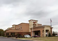 Hampton Inn Martin - Wifi