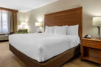 Comfort Inn Hotels in Millersburg