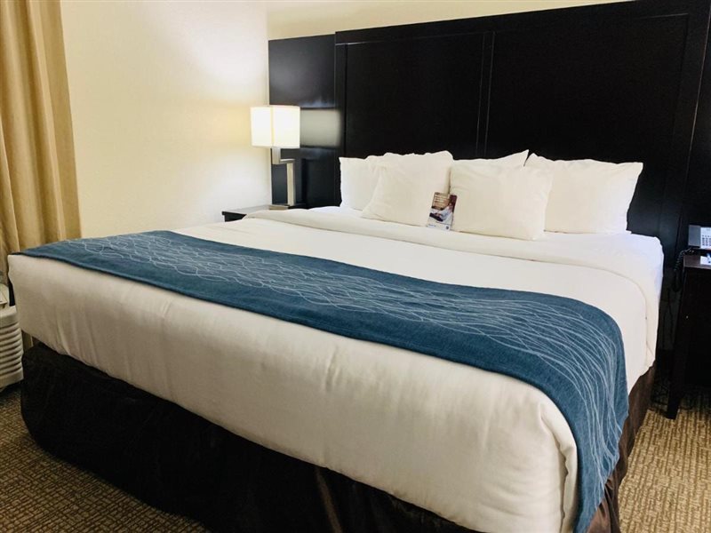 Comfort Inn & Suites Galleria