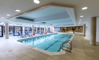 6. Hilton T..