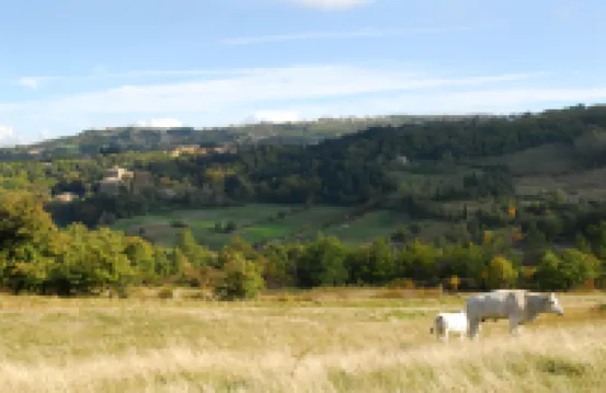 View of Monte Amiata for 3 Guests Agriturismo la Piaggia - Vivo d'Orcia