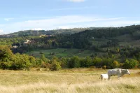 - Agriturismo la Piaggia - Forest View Apartment on the Ground Floor 2 Guests