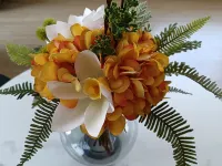 Shucheng Mengxing Business Hotel - Inns