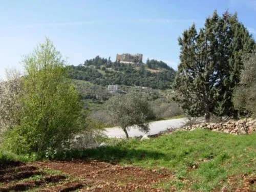 Ajloun Hotel - Breakfast