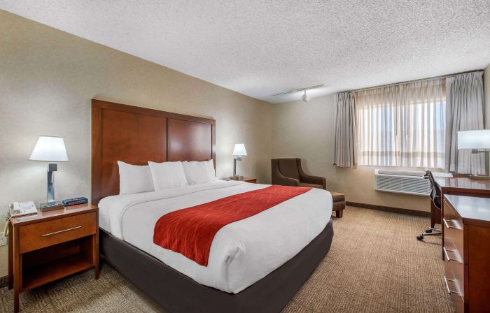 Comfort Inn Denver Southeast Area