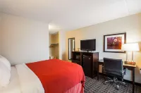 Quality Inn Near Potomac Mills