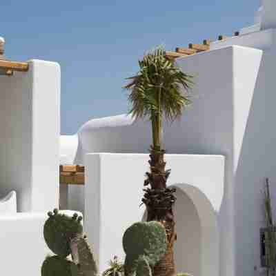 Villa Opal Hotel Exterior
