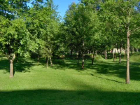 Vale Martinho - Paradise is Real ヴィミエイロのホテル