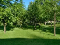 Vale Martinho - Paradise is Real Hotels in Vimieiro