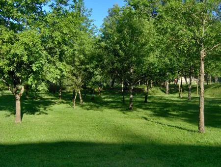 Vale Martinho - Paradise is Real