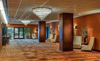 1. Hilton S..