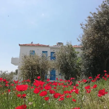 Apartments Jota