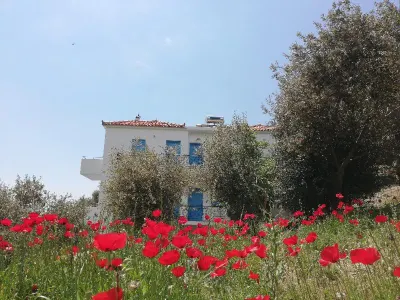 Apartments Jota Hotel dekat Moni Profiti Ilia