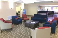 Comfort Inn & Suites Near Six Flags & Medical Center - 2-Star