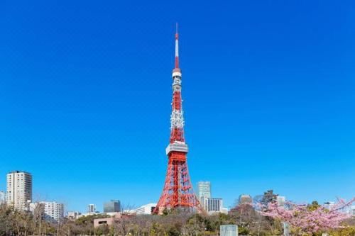 Excier Shibuya Dogenzaka 901 Tokyo Updated 23 Room Price Reviews Deals Trip Com