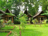 Fox & the Firefly Cottages Hotels in Loboc