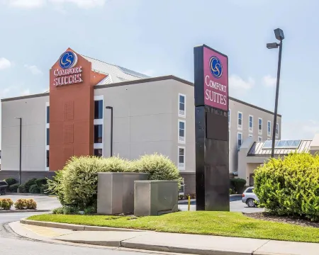 Comfort Suites Anderson-Clemson