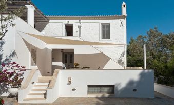 Bellevalia Hydra - Formerly Four Seasons Hydra