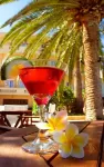 Kissamos Hotel - bar