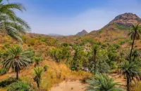 Richi Valley Resort Hotels in Sirohi