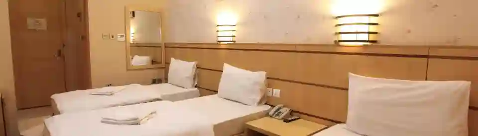 الشهباء