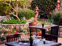 Naama Bay Promenade Beach Resort Hotels in Sharm El Sheikh