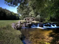 Bovey Castle - Gym