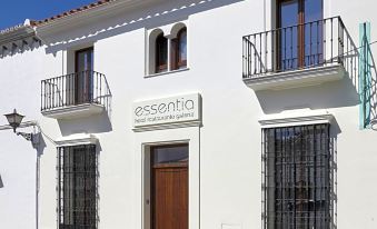 Hotel Galería Essentia