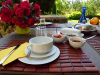Le Pozze Terme B&B Hotels in Vetralla