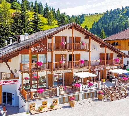 Hotel Grizzly "Ski-in Ski-out" - Mountain view