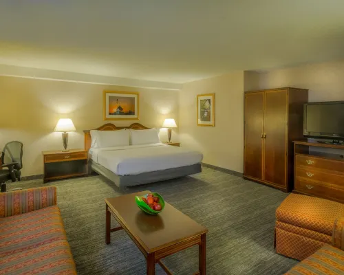Holiday Inn ARLINGTON AT BALLSTON by IHG Kamar Photos