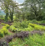 The Homecoming Farmstay Karjat Hotels in Pali Bk.