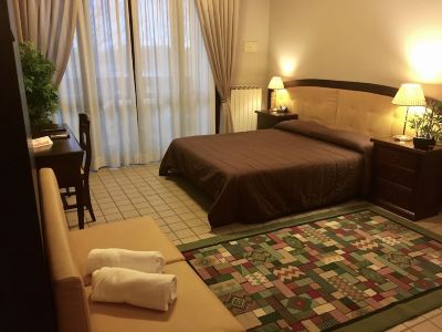 Business Double Room Single Use