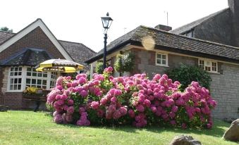 a beautiful garden with pink flowers , green grass , and a stone house in the background at The Village Inn