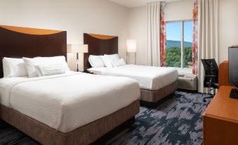 Fairfield Inn & Suites Chattanooga I-24/Lookout Mountain