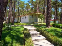 Parque de Campismo Orbitur Valado Các khách sạn ở Nazare