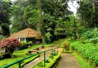 The Tall Trees Các khách sạn ở Munnar