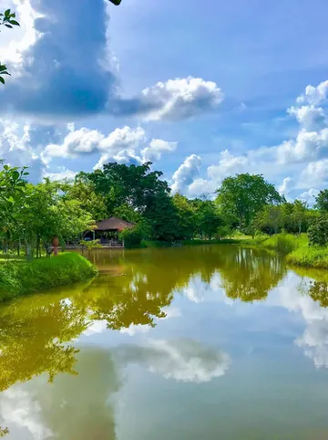 รูปภาพของบ้านสวนทิพย์ รีสอร์ท บ้านฉาง