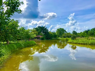 รูปภาพของบ้านสวนทิพย์ รีสอร์ท บ้านฉาง