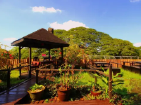 Yangon International Hotel