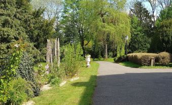 a paved path surrounded by lush green trees and grass , leading to a house in the distance at La Roseraie