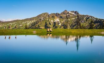 Hotel Zum Stern - Skibus Direkt Vor Dem Hotel, Bergbahnen Inklusive im Sommer 2025