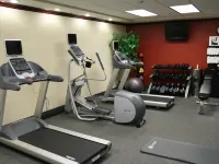 Hampton Inn & Suites Austin South/Buda - Fitnessstudio