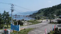 越前 濱茄子