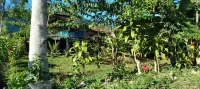 Karleta Homestay